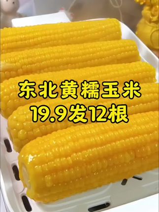 抢疯了抢疯了!19.99到手12根黄糯玉米来活动啦!12根黄糯玉米才19.99超便宜超划算!怎么会有这么好吃的黄糯玉米啊!软糯香甜玉米味超浓郁!趁活动有货赶紧抢#玉米 #糯玉米 #黄糯玉米 #优质农产品 #妈呀太香了