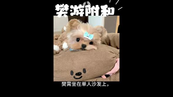 【樊游附和】复合之后的樊霄被长久冷落高烧不退,应激障碍复发不敢告诉游书朗 #樊游 #樊霄游书朗 #四面佛 #同人文