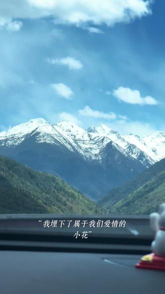 爱你 我亲爱的自己#康定海棠花开季