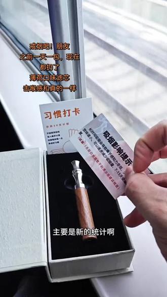 高档替烟棒飞机高铁都能用,薄荷口味清新口气,现在身上已经没有烟味了#吸烟有害健康 #戒烟打卡 #替烟器 #老烟民分享戒烟方法 #戒烟