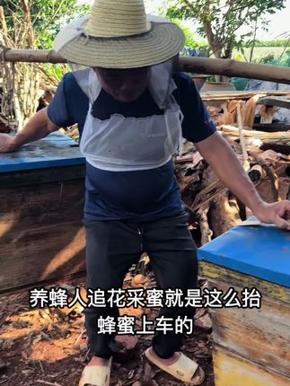 #农村养蜂人