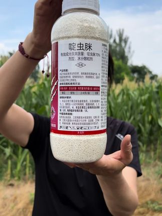 70%啶虫脒,一瓶 500克兑1500-3000斤水喷雾#三农 #蚜虫 #蔬菜种植 #虫害防治 #三农种植