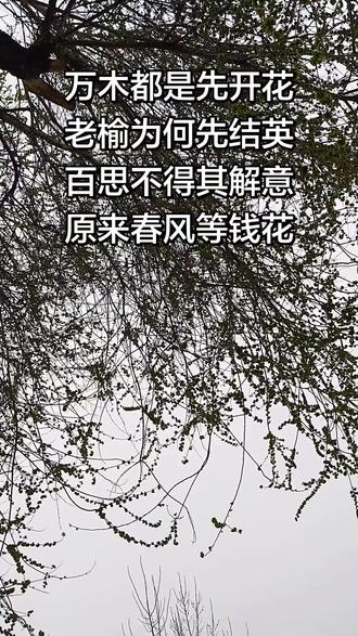 万木都是先开花,老榆为何先结英,百思
不得解其意,
原来春风等钱花。老人常说
榆树是救命树,青黄不接时靠榆树槐树救
命,
特别是榆树全身是宝!!家如树上
巢,山里唤子归。你有没有一个地方,离
开越久,
越想回去?