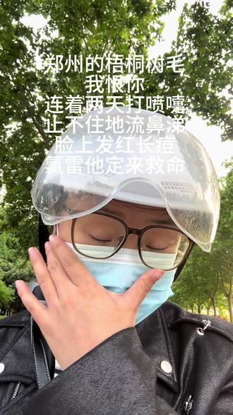 谁给郑州栽的梧桐树呀?你睡了吗?咱俩唠两句,杨絮柳絮就算了,梧桐树的毛毛是真扛不住#郑州梧桐树 #郑州梧桐 #郑州