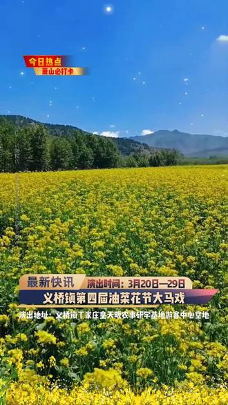 ✨春日限定浪漫来袭!萧山区义桥镇第四届油菜花节3月20日大马戏火热开演🎪,吊环、绸舞等十几个节目精彩纷呈,在金黄花海中感受艺术与自然的碰撞,这个春天,来义桥就对了🌼!#义桥镇大马戏 #周末去哪玩 #亲子游玩好去处 #义桥镇吃喝玩乐 #马戏团