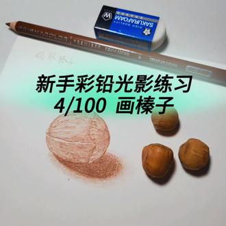 今天观察一下榛子,画完就吃了哈哈哈😂
#画画教程 #彩铅 #跟我一起学画画 #零基础学画画 #跟着抖音学画画