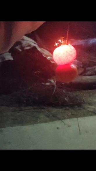 岁暮辞旧🏮,马踏春归,万事胜意