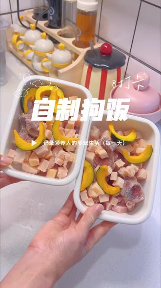 今天娜娜能在我腿边睡着,我真的太激动了,看来它很信任我哦。哈哈哈#宠物配餐 #自制狗饭 #宠物食品 #萌宠出道计划 #流浪狗后续生活