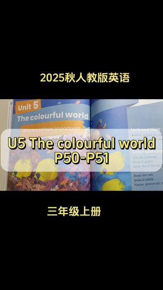 新人教版三年级英语上册第5单元P50-P51#三年级英语 #人教版 #英语