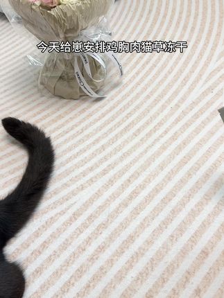 让我看看谁家毛孩子还没吃过这款猫草冻干呢 #叉子英雄 #猫猫的铲屎官 #养猫新手 #吸猫