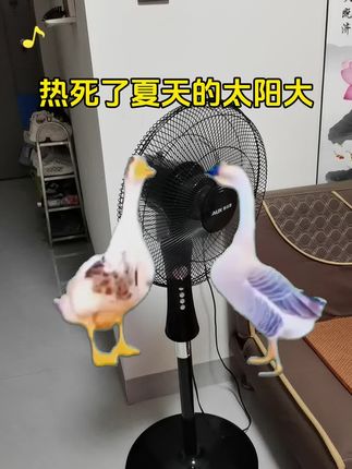 #电风扇 #上热搜 #好物推荐🔥 #原创视频