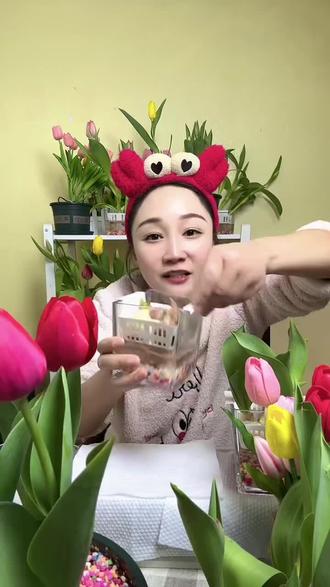 #水培郁金香的养殖方法 ,大家都干净方便,好种好养,放心闭眼去拍,包春化,包大种球