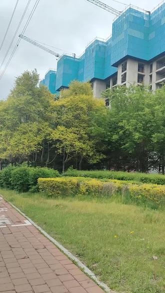 这地方好像烂尾了吧!#高楼围不住的生机 #上热搜 #小区一角的治愈时刻