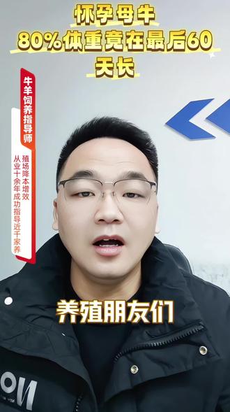 #科学养牛
怀孕母牛各阶段的饲喂和日常管理分享!#就想说点大实话