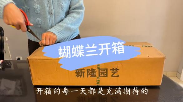 谁家的蝴蝶兰打包在你心中是天花板呢?#养花 #蝴蝶兰 #养花我是认真的 #创作者扶持计划 #鲜花^_^