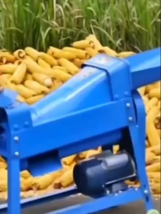 全自动玉米脱粒机家用小型220V电动剥玉米机#苞谷分离机剥玉米神器 #农民好帮手