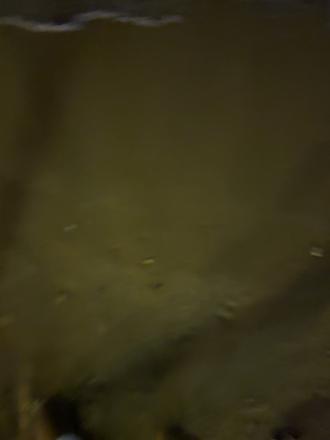 未必我对你撇了迈,不让我经优你