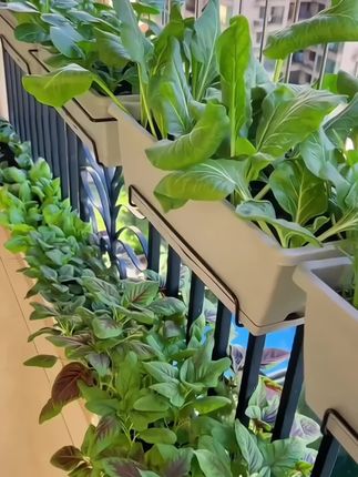 高品质阳台种菜盆种菜一体长条加固质感耐用米色花园尺寸#盆栽种植 #绿植盆栽
