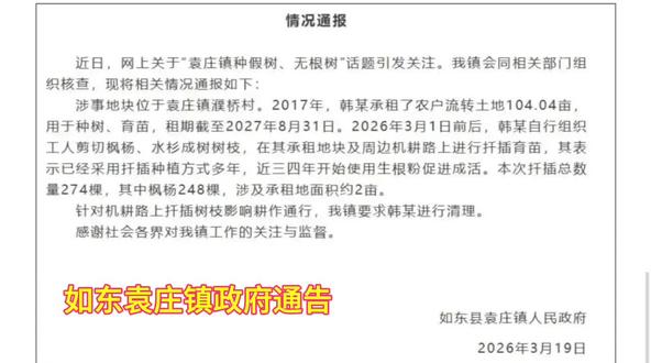 如东袁庄镇政府发布关于“无根树”的通告。