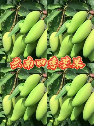 #纯天然绿色食品 #美食 #家常美食 #下饭菜 #一起来尝鲜