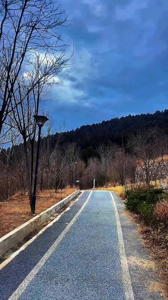 出门的时候天阴沉沉的,
我以为是冬至的余波,
后来才发现今天真的阴天,
阴天总会压抑人的情绪,
让你的心情忍不住低落下来,
走着走着耳机没电了,
我只能外放着声音,
不得不说这样的天气,
听一本李银河的书还是不错的,
做一个纯粹的享乐主义是她的随笔,
我喜欢这样充满力量的文字,
亦如我喜欢有着生命张力的照片,
它们给予我的是向上的生命力,
这让我总会汲满了力量,
去面对我的生活……#原创视频 #手机摄影 #日常vlog #情感 #治愈系