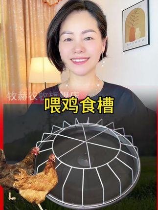 #鸡鸭鹅喂食槽 #鸡鸭鹅养殖