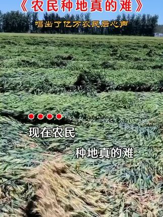 #农民的辛酸