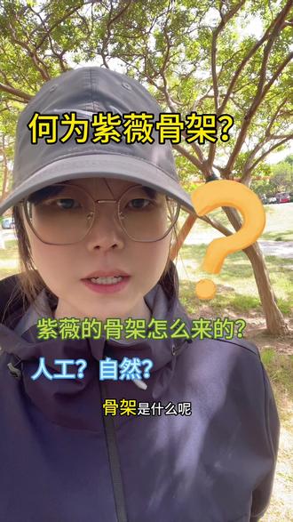 不靠修剪,蒙山小叶紫薇天生自带高级骨架!
紫薇好看的骨架,从不是人工修剪而来
是岁月沉淀、自然生长慢慢成型
原生枝干错落有致,自带古朴意境🍃
