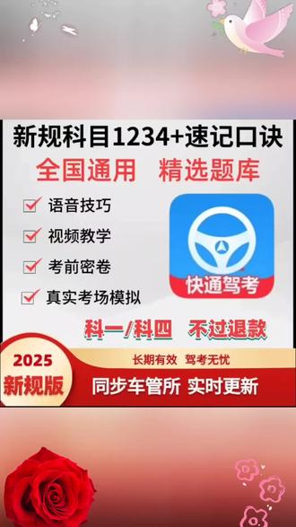 2025最新驾考科目四精选300题科一500技巧口诀真实考试模拟必刷题##驾考宝典 #驾考一把过 #驾考宝典#驾考宝典