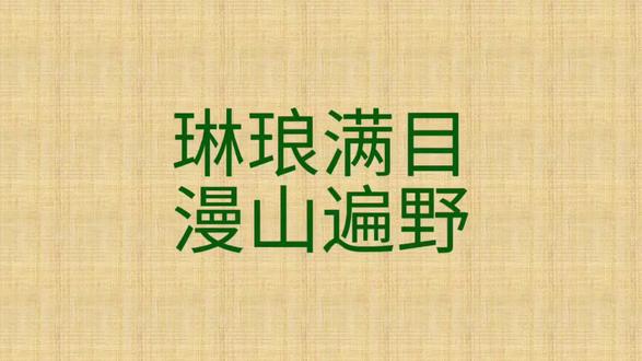 琳琅满目 漫山遍野
#公考#行测#成语