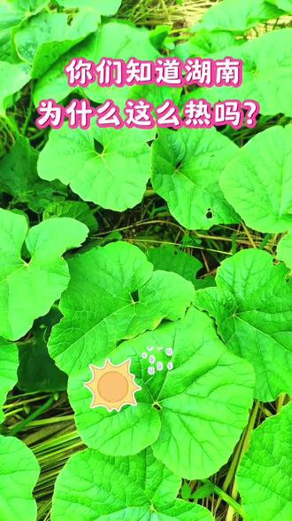 湖南带阳的城市太多了,怪不得这么热