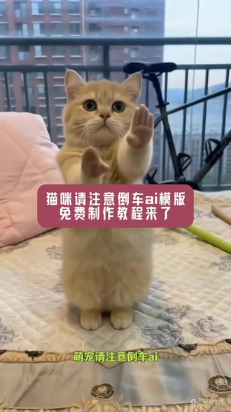 近期爆火的萌宠请注意倒车ai制作教程来了
猫咪跳请注意倒车舞蹈制作教程来了 #剪映 #萌宠跳舞 #ai请注意倒车舞蹈 #猫咪的迷惑行为 倒车请注意舞蹈、请注意倒车、AI请注意倒车舞、倒车洒水摇舞蹈挑战、倒车洒水摇、AI请注意倒车舞蹈、倒车洒水摇舞蹈动作、倒车舞蹈、AI倒车舞蹈教学、AI倒车舞蹈、AI生成请注意倒车舞蹈、倒车洒水摇舞蹈教程、倒车洒水摇舞蹈AI特效、倒车洒水摇舞蹈特效AI一键生成、请注意倒车狗子特效、请注意倒车舞、AI倒车舞蹈生成入口、AI舞蹈倒车摇、倒车请注意舞蹈AI一键生成、请注意倒车制作、噜噜请注意倒车、AI请注意倒车、婴儿倒车舞、AI倒车请注意舞蹈教程、倒车舞挑战、请注意倒车卡点、倒车洒水摇舞蹈特效拍同款、AI倒车请注意舞、请注意倒车宠物、宠物跳舞特效、请注意倒车舞蹈教学、AI请注意倒车舞蹈特效一键生成、AI倒车请注意、请注意倒车宠物AI制作、倒车洒水舞蹈特效AI怎么弄、请注意倒车舞挑战、请注意倒车舞蹈萌宠版特效、请注意倒车萌宠倒车洒水摇舞蹈特效、舞蹈倒车摇、洒水车来了咯、倒车洒水摇剪映教程、倒车洒水摇怎么跳、AI倒车洒水摇舞、倒车洒水摇萌宠舞蹈