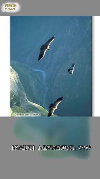 学英语 一定要看英语动画#小学英语 #英语学习 #英语动画 #儿童动画 #儿童英语启蒙动画片