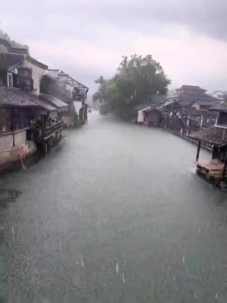 豆包你还是太权威了#豆包ai