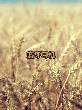 柏林之声复古新款夹耳无线蓝牙耳机运动降噪不入耳超长续航#夹耳式蓝牙耳机 #无线蓝牙耳机
