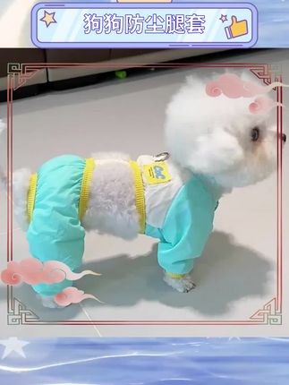 🐶 遛狗必备神器!这款四脚防尘裤真的太实用了,泰迪、博美、比熊等小型犬都能穿,再也不怕狗狗出门弄脏腿啦!材质舒适透气,狗狗穿着也不会抗拒。轻松解决遛狗烦恼,让爱宠时刻保持干净整洁~ #宠物用品 #狗狗穿搭 #遛狗必备 #小型犬好物