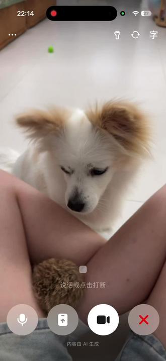 一本正经胡说八道还得是你豆包#豆包 #豆包胡说八道 #宠物 #金色边牧 #抖音流量扶持