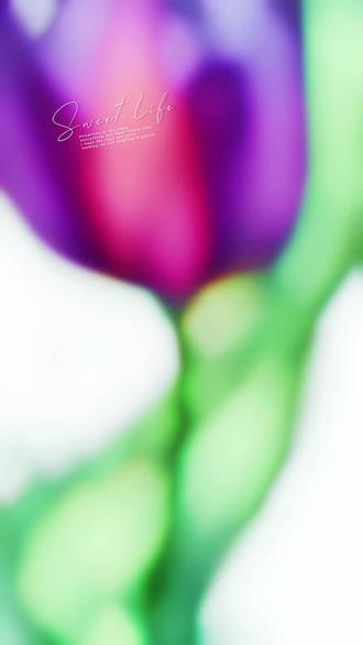 #手机壁纸#国漫国风 #高清原图