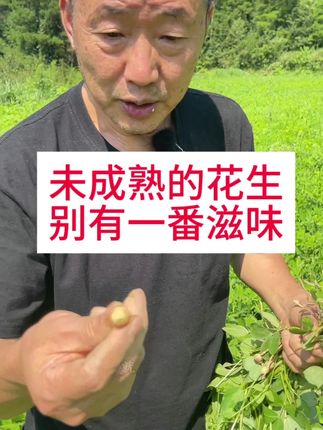 嫩花生的味道@花生#嫩花生#美味