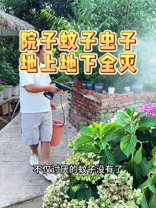 到了夏季,想要院子里没有蚊虫,那就用它喷一喷,喷过之后不仅讨厌的蚊子没有了,就连植物上容易出现的害虫也能一并消灭和预防#灭蚊虫 #爱生活爱养花 #院子生活 #花园生活 #预防蚊虫小妙招