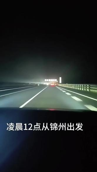 大年初四游大孤山#丹东东港大孤山 #千年银杏树 #大孤山明星 #大孤山转树