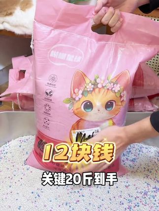 夸孩子也是一门学问要用对方式,不然只能适得其反#亲子教育 #育儿#家庭教育#父母课堂#干货分享