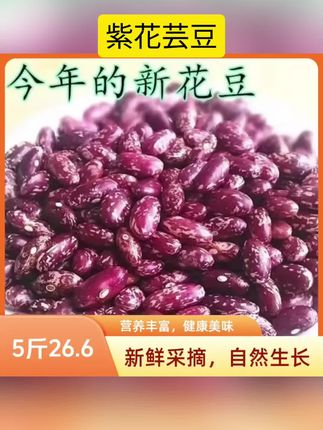 包邮新紫花芸豆五斤包邮饭豆腰豆花芸豆玉米碴子正宗五谷杂粮#好物推荐🔥 #好东西一起分享 #内容过于真实 #抖音小助手 #抖音小助手dou上热门