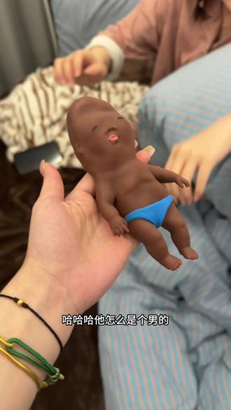 也是养上娜塔莎了#娜塔莎 #抽象 #娜塔莎一家 #一般人不告诉他 #可爱到爆炸💥