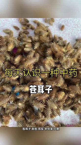 每天认识一种中药,开启健康人生,谢谢关注