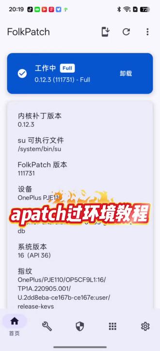 #root #magisk面具
ap也通用教程