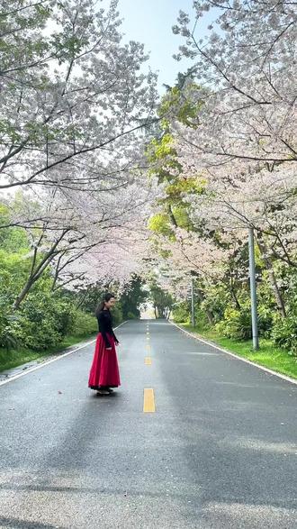 东湖的樱花大道来一曲《人间共鸣》这氛围感直接拉满喔@夏辉不姓夏(舞蹈) 原创舞蹈