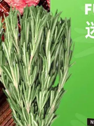 #郝邵文 推荐#迷迭香#迷迭香干枝 #干迷迭香#调料 新鲜干迷迭香干支碎煎牛排用可食用海盐烘焙百里香欧芹碎香料调料