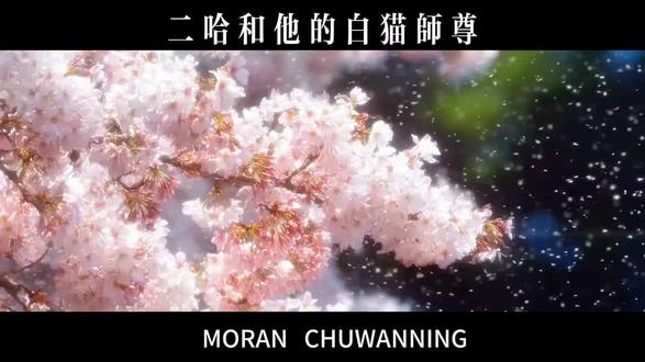 墨燃生日快乐!!晚宁在和你表白哎!!(第一次剪这种,凑合看吧😭😭)#二哈和他的白猫师尊 #燃晚 #墨燃#小说剪辑