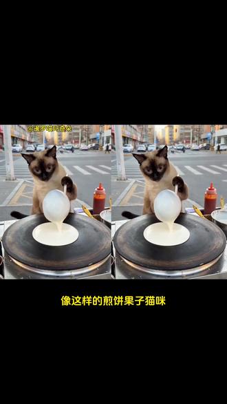 煎饼果子猫咪ai教程 猫咪摊煎饼ai教程 煎饼果子猫咪提示词 小猫摊煎饼ai教程#小云雀AI #小云雀爆款马上成片 #小云雀seedance#芯有云雀创作飞跃